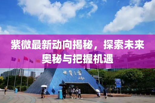 紫微最新动向揭秘，探索未来奥秘与把握机遇