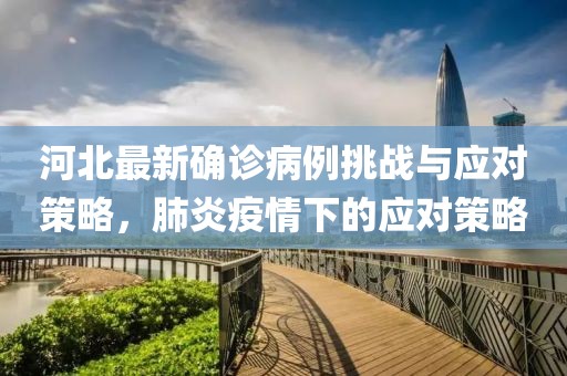 河北最新确诊病例挑战与应对策略，肺炎疫情下的应对策略