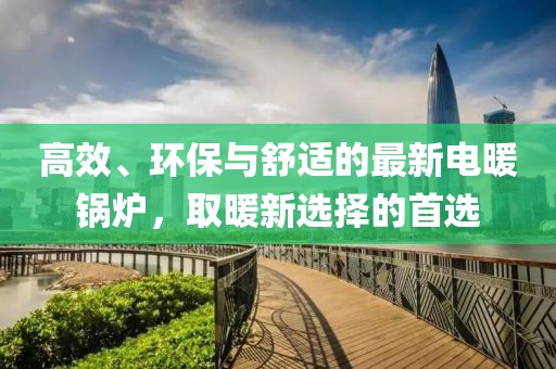 高效、环保与舒适的最新电暖锅炉，取暖新选择的首选