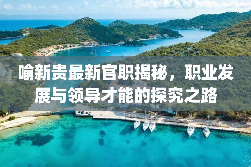 喻新贵最新官职揭秘，职业发展与领导才能的探究之路