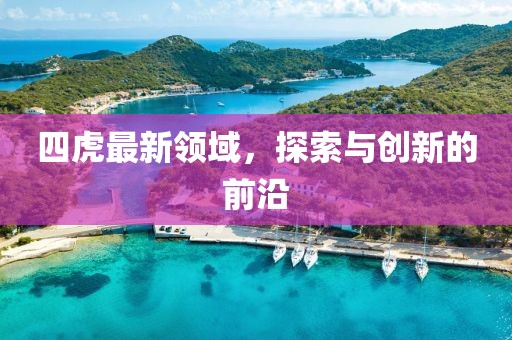 四虎最新领域，探索与创新的前沿
