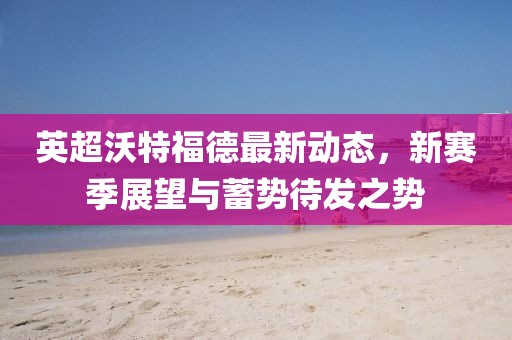 英超沃特福德最新动态，新赛季展望与蓄势待发之势