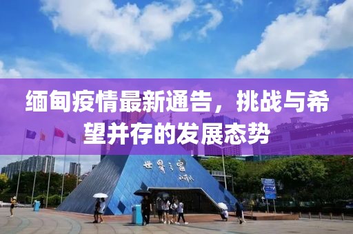 缅甸疫情最新通告，挑战与希望并存的发展态势