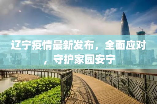 辽宁疫情最新发布，全面应对，守护家园安宁