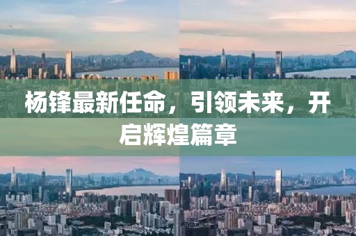 杨锋最新任命，引领未来，开启辉煌篇章