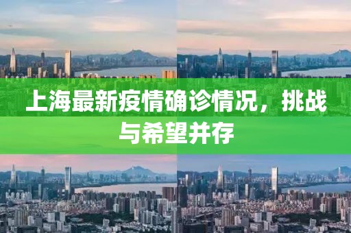 上海最新疫情确诊情况，挑战与希望并存