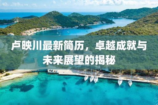 卢映川最新简历，卓越成就与未来展望的揭秘