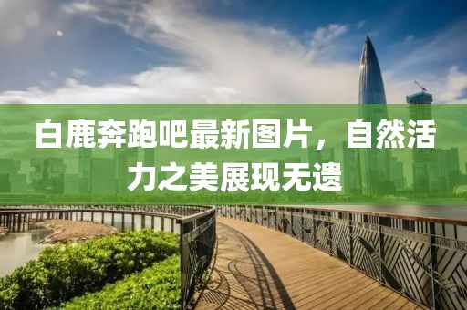 白鹿奔跑吧最新图片，自然活力之美展现无遗