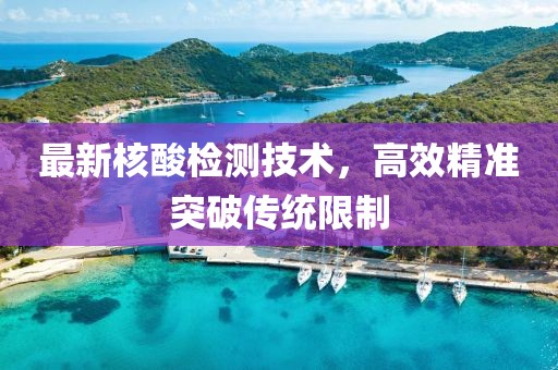 最新核酸检测技术，高效精准突破传统限制