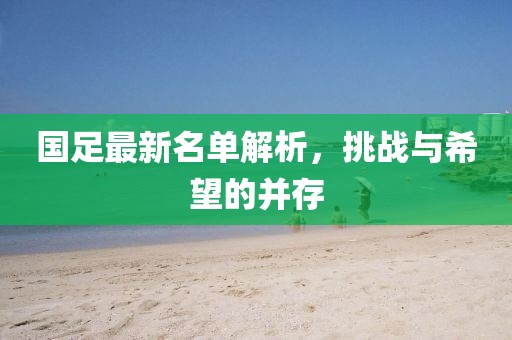 国足最新名单解析，挑战与希望的并存