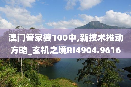澳门管家婆100中,新技术推动方略_玄机之境RI4904.9616