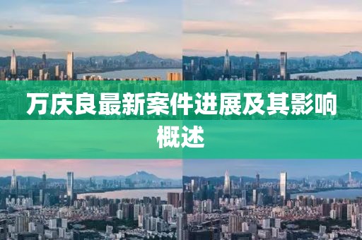 万庆良最新案件进展及其影响概述