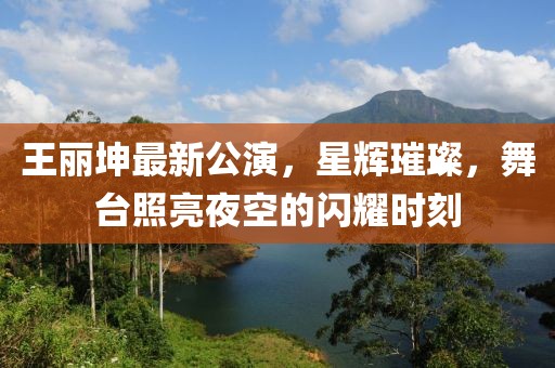 王丽坤最新公演，星辉璀璨，舞台照亮夜空的闪耀时刻