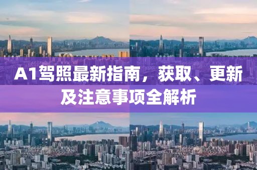 A1驾照最新指南，获取、更新及注意事项全解析