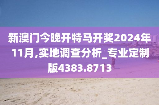 新澳门今晚开特马开奖2024年11月,实地调查分析_专业定制版4383.8713