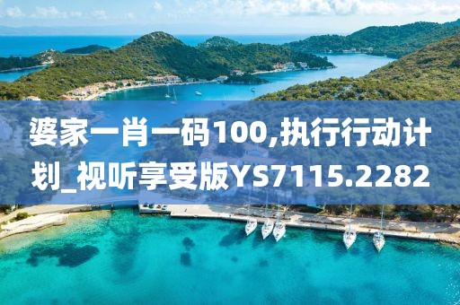 婆家一肖一码100,执行行动计划_视听享受版YS7115.2282