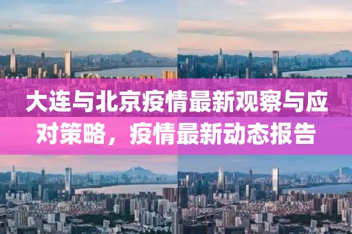 大连与北京疫情最新观察与应对策略，疫情最新动态报告