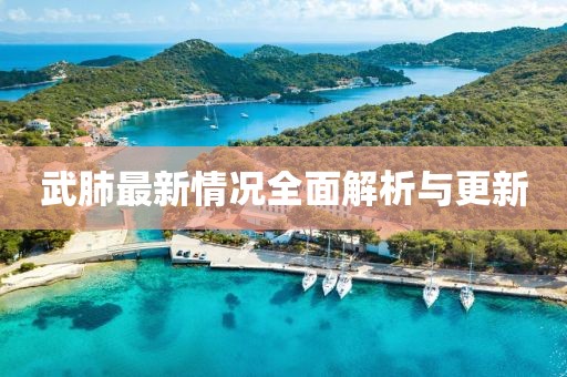 武肺最新情况全面解析与更新