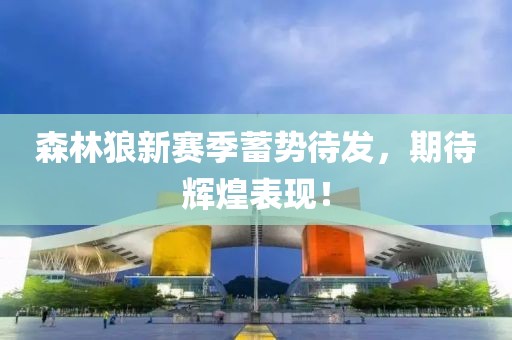 森林狼新赛季蓄势待发，期待辉煌表现！