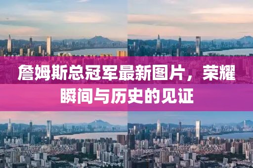 猫九命 第6页
