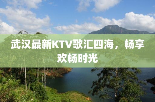 武汉最新KTV歌汇四海，畅享欢畅时光