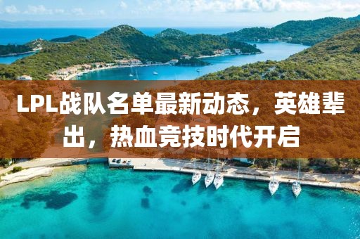 LPL战队名单最新动态，英雄辈出，热血竞技时代开启