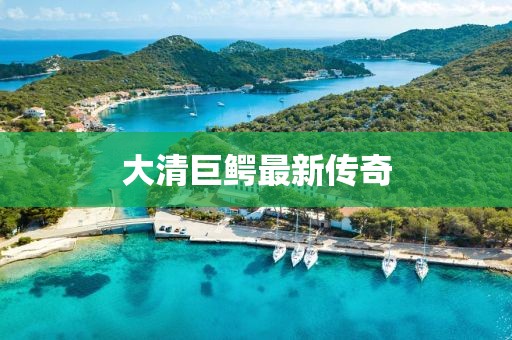 大清巨鳄最新传奇
