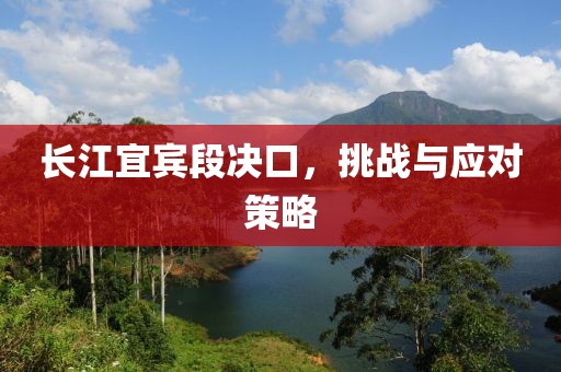 长江宜宾段决口，挑战与应对策略