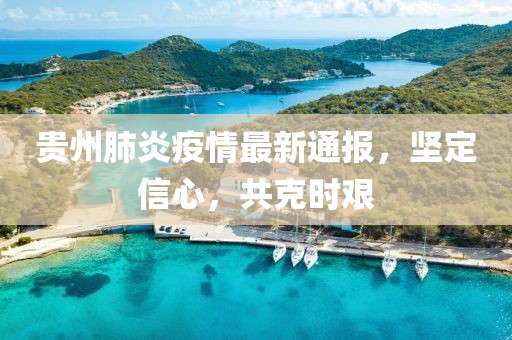 贵州肺炎疫情最新通报，坚定信心，共克时艰