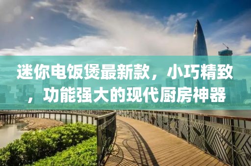 迷你电饭煲最新款，小巧精致，功能强大的现代厨房神器