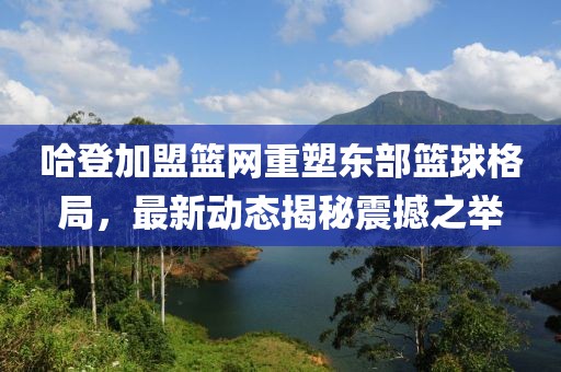 哈登加盟篮网重塑东部篮球格局，最新动态揭秘震撼之举