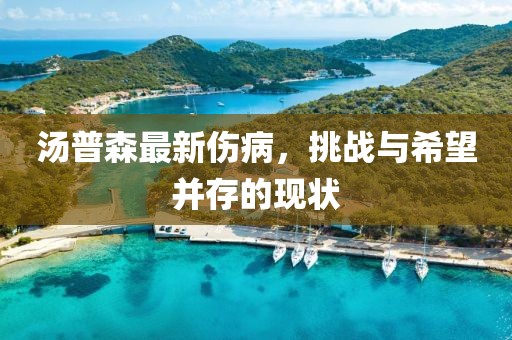 汤普森最新伤病，挑战与希望并存的现状