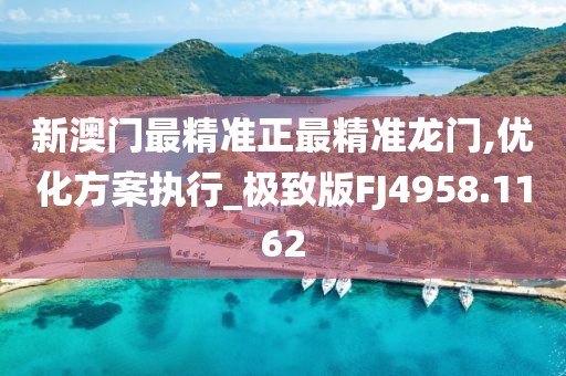 新澳门最精准正最精准龙门,优化方案执行_极致版FJ4958.1162