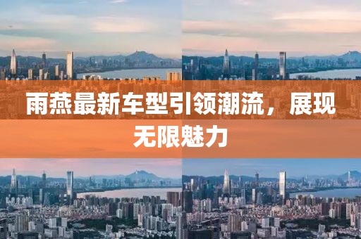 雨燕最新车型引领潮流，展现无限魅力