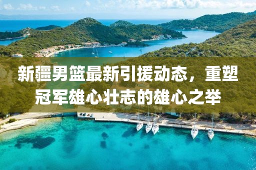 新疆男篮最新引援动态，重塑冠军雄心壮志的雄心之举