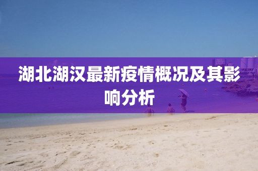 湖北湖汉最新疫情概况及其影响分析