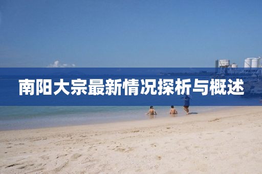 南阳大宗最新情况探析与概述