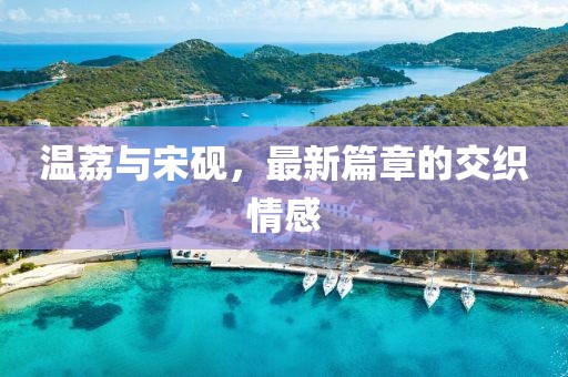 温荔与宋砚，最新篇章的交织情感