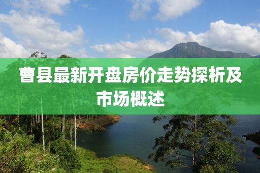 曹县最新开盘房价走势探析及市场概述