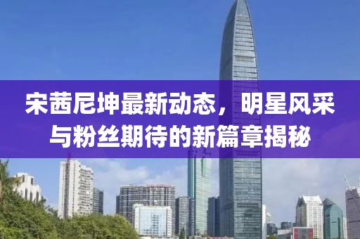 宋茜尼坤最新动态，明星风采与粉丝期待的新篇章揭秘