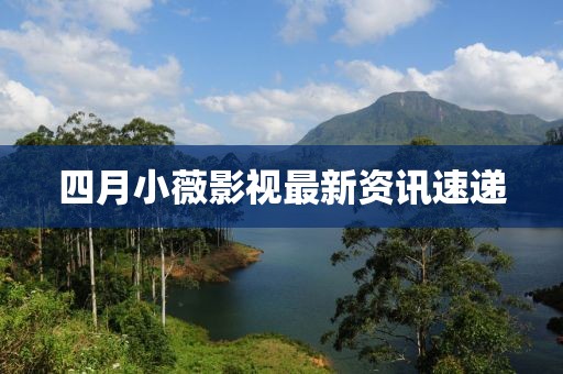 四月小薇影视最新资讯速递