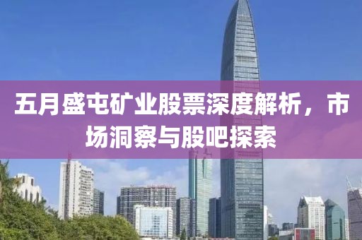 五月盛屯矿业股票深度解析，市场洞察与股吧探索