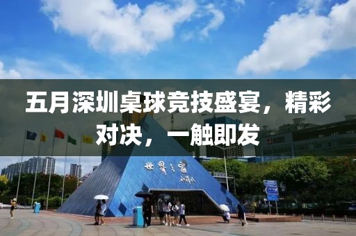 五月深圳桌球竞技盛宴，精彩对决，一触即发