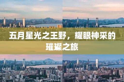五月星光之王野，耀眼神采的璀璨之旅