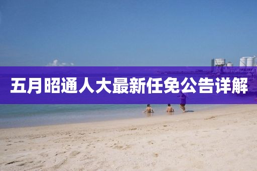 五月昭通人大最新任免公告详解
