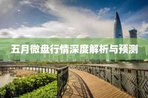 五月微盘行情深度解析与预测