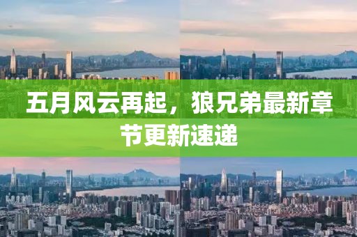 五月风云再起，狼兄弟最新章节更新速递