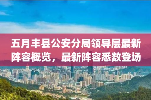 五月丰县公安分局领导层最新阵容概览，最新阵容悉数登场
