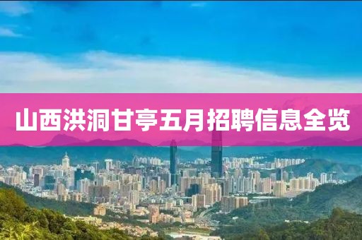 2025年5月5日 第17页