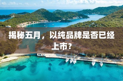 揭秘五月，以纯品牌是否已经上市？